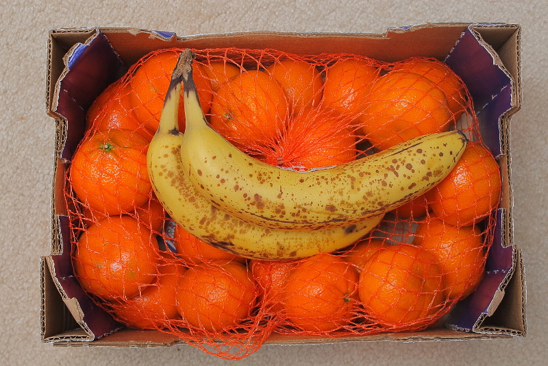 Fruit