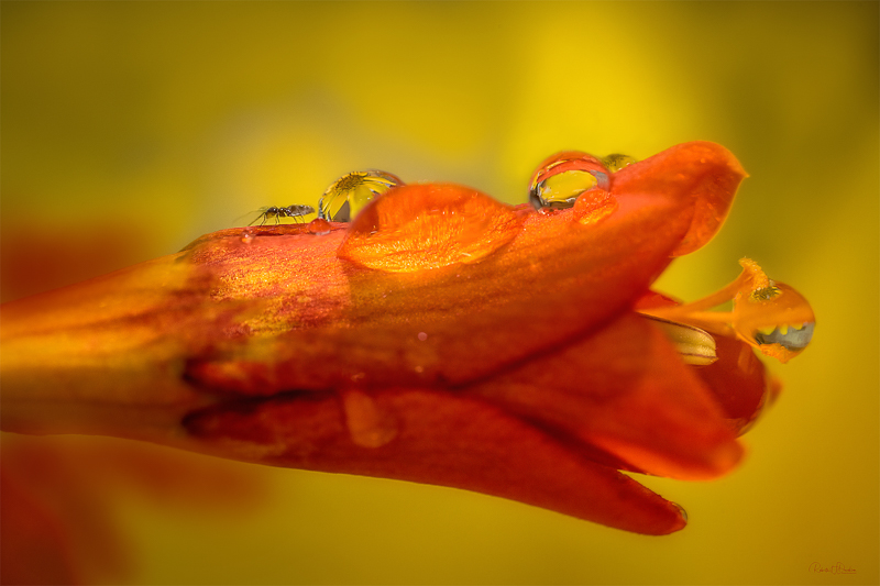 After the Rain