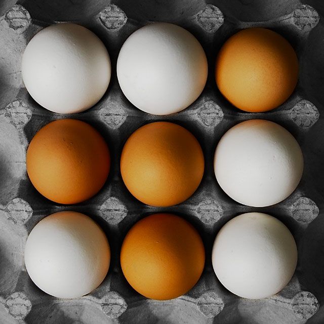 Egg-Tac-Toe It's a Tie
