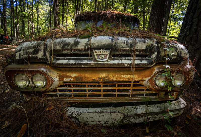 Vines growing over truck