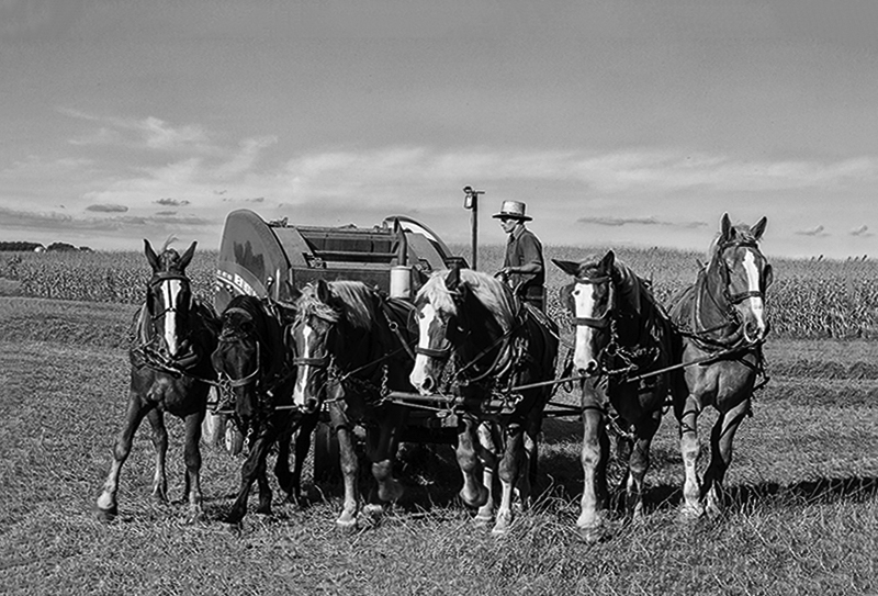 Baling Hay The Amish Way