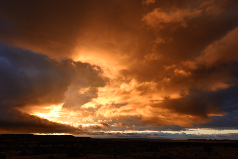 When Night Meets Day - Contrasting Elements