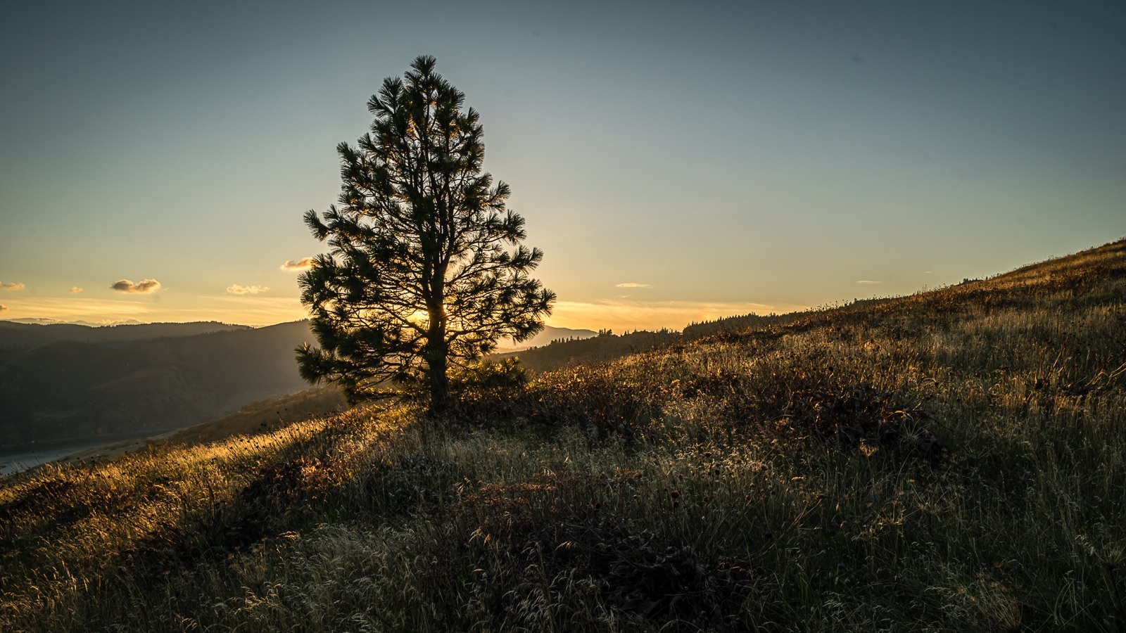 © 2026 nehemiahphoto