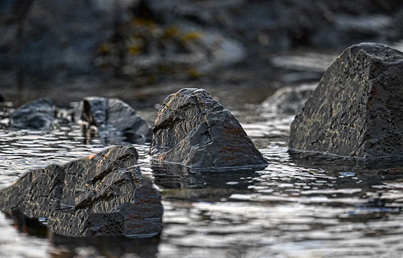 1108 Wet Rocks
