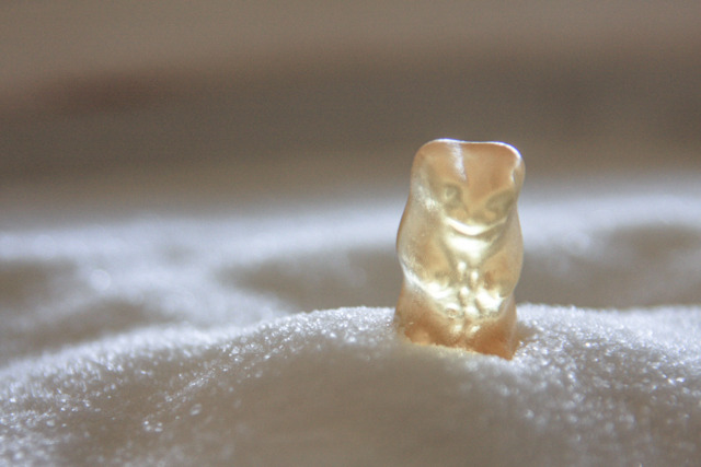 Sugar Bear
