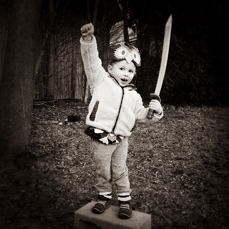 Sword Fighter