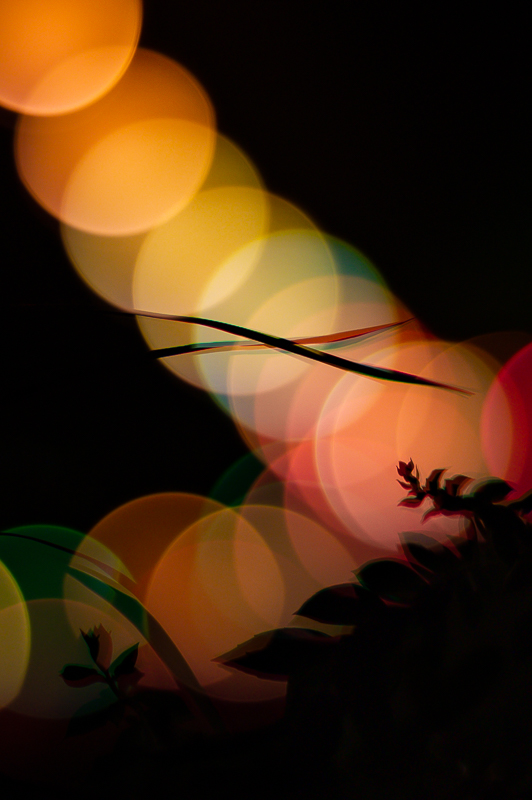 Color Circles