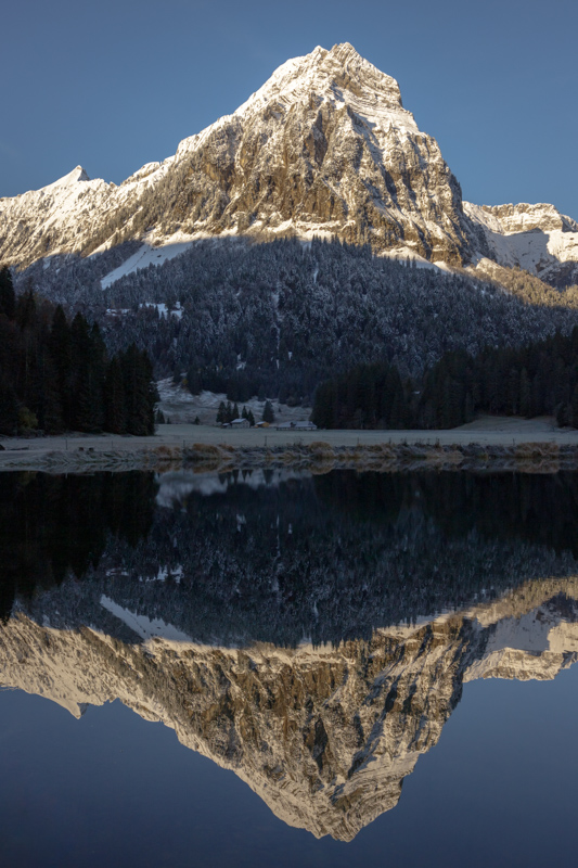 Br�nnelistock in Obersee