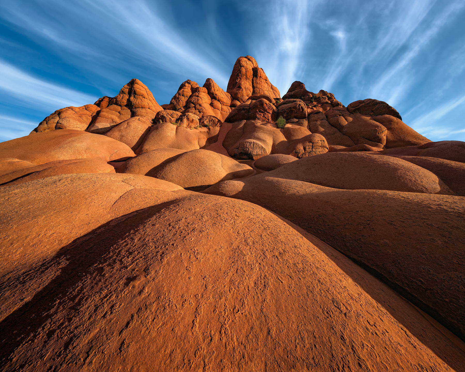 © 2026 Mark Metternich
