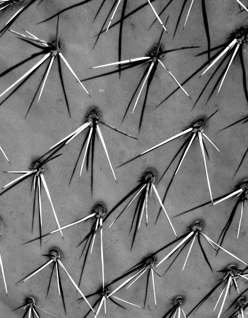 Spikes