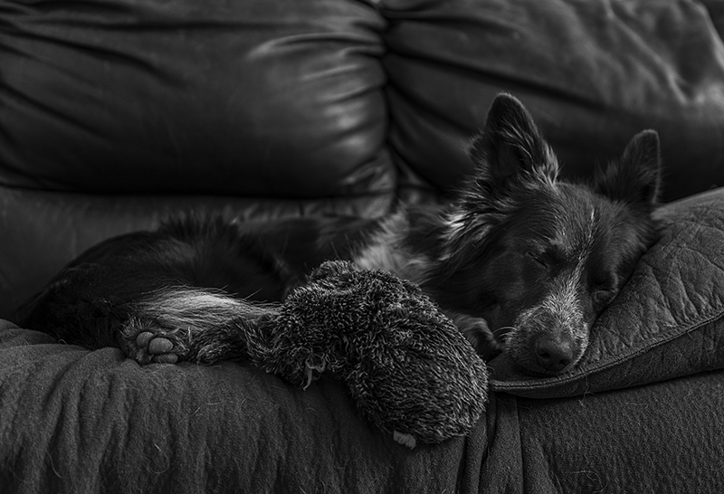 Bedtime With Her Toy