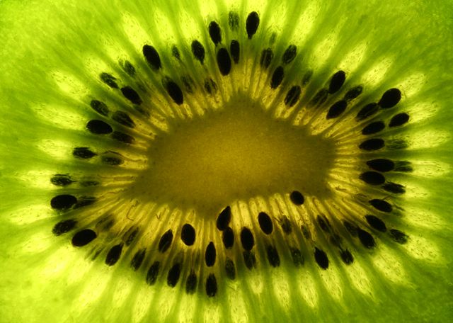 Kiwi