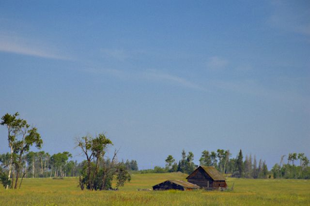 Along My Rural Road