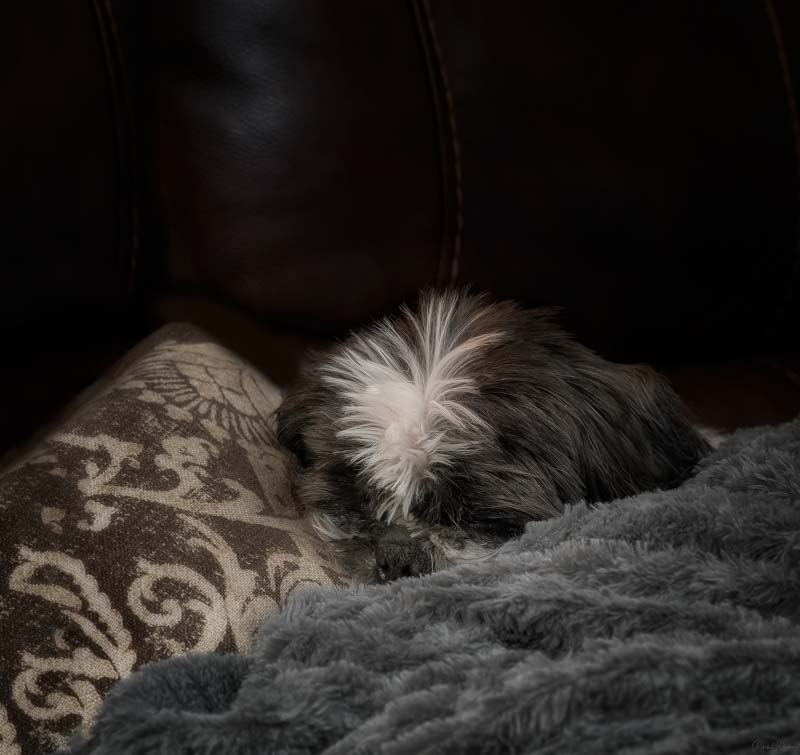 Cozy