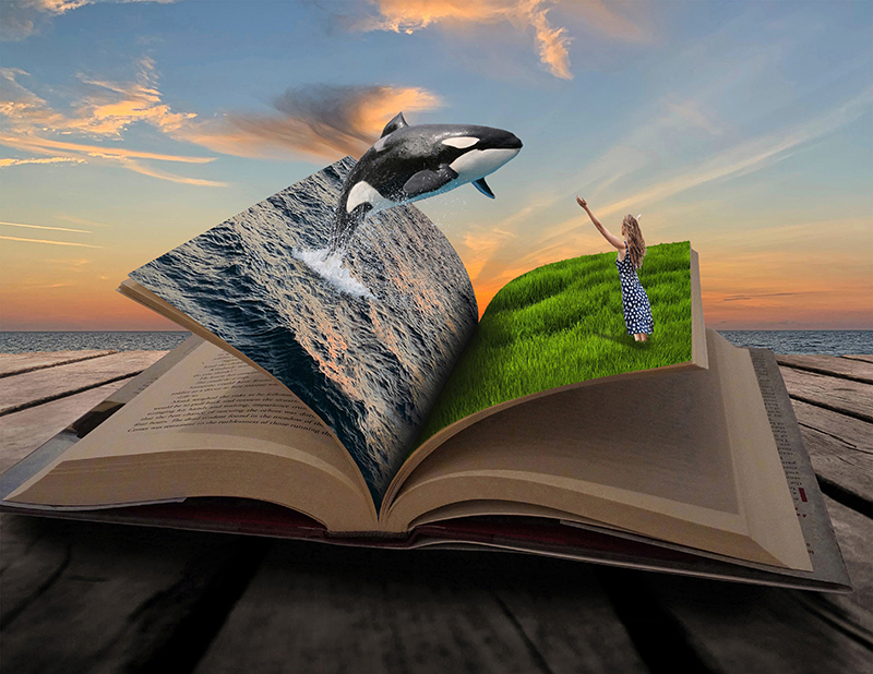 The Book