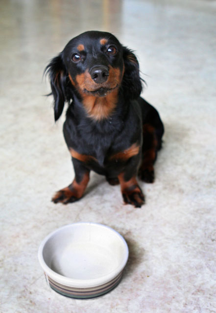 Feed Me