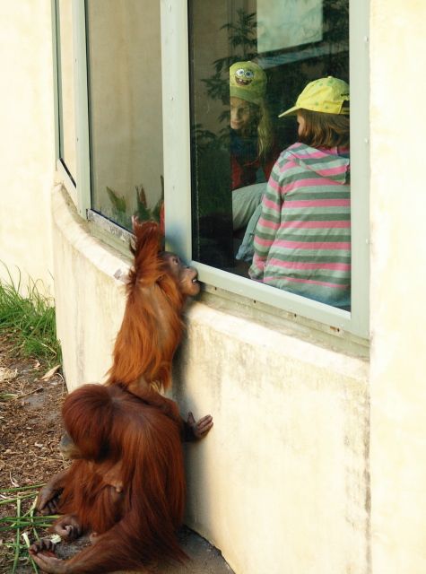 Please come out and play