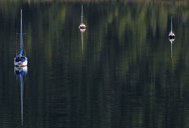 Trio sailboats