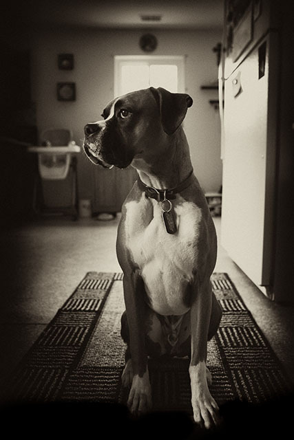 I protect my home