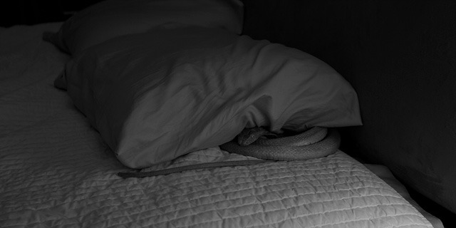 Sleep Tight