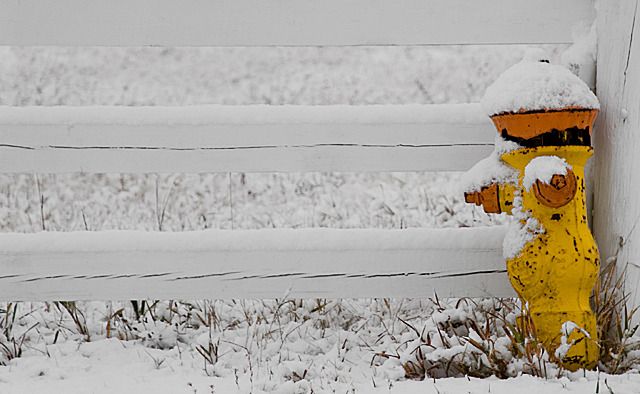 First Snow