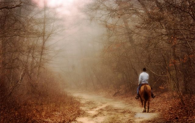 The Back Way Home