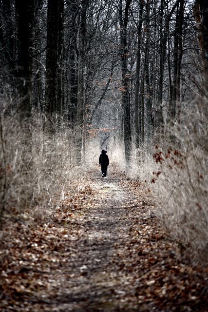 Soon to Be Lost?