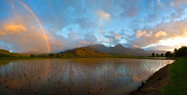 Rainbow Country