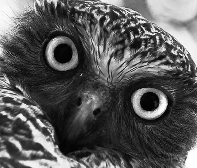 What are you lookin' at