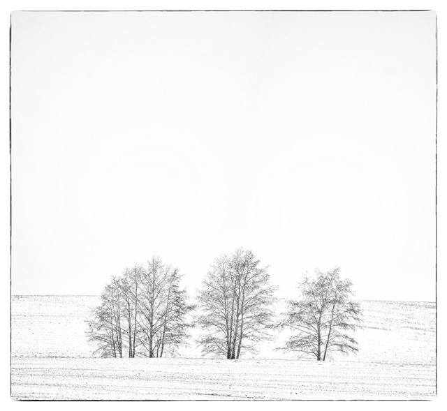 white stuff everywhere