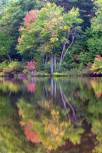 Fall Colors Reflection