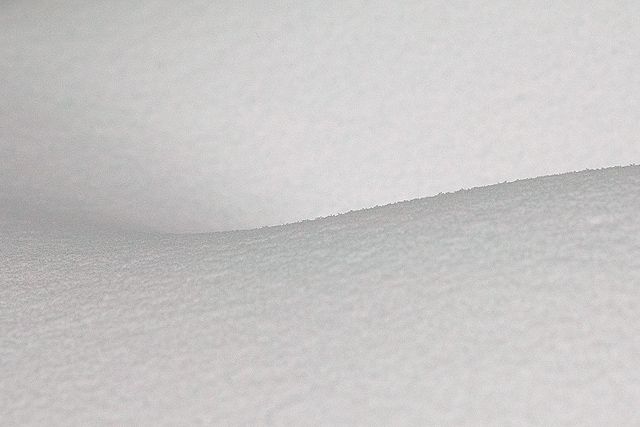 White on white