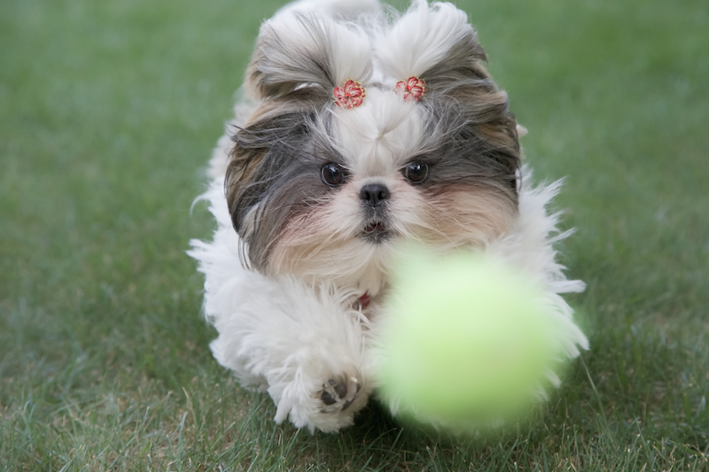 My Ball