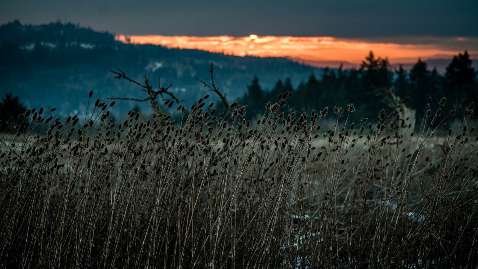 © 2026 nehemiahphoto