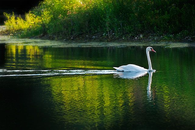 Peace & tranquility