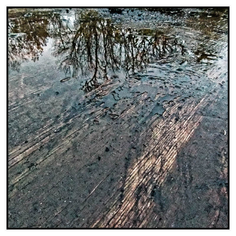 Transparent + Reflection