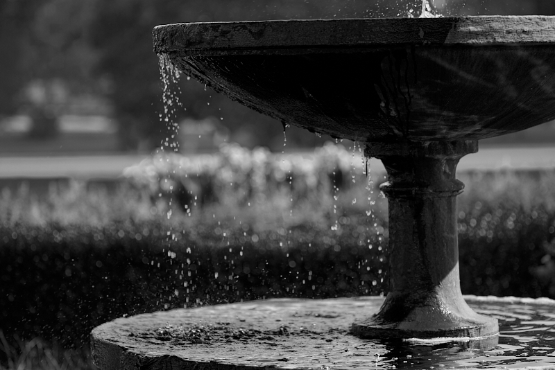 Drip ...