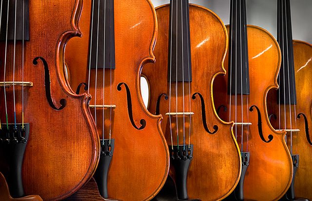 Lotsa Fiddles
