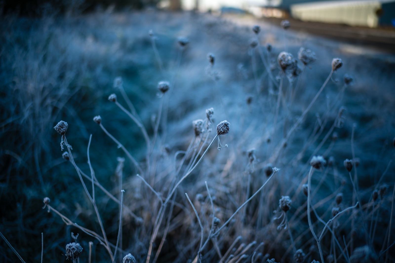 © 2026 nehemiahphoto
