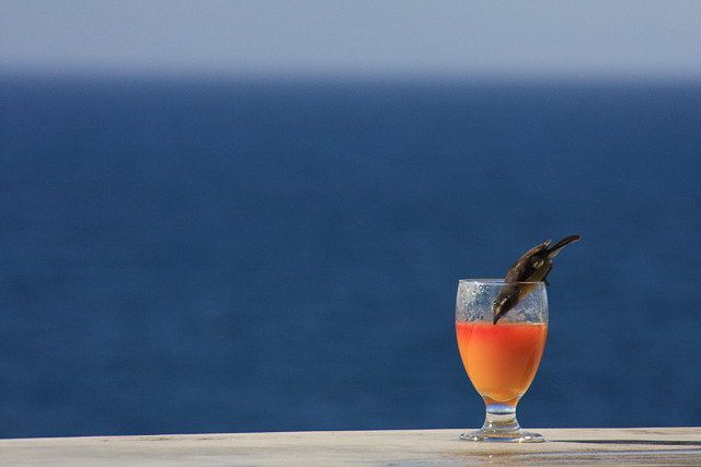 Tequila Sunrise Celebration