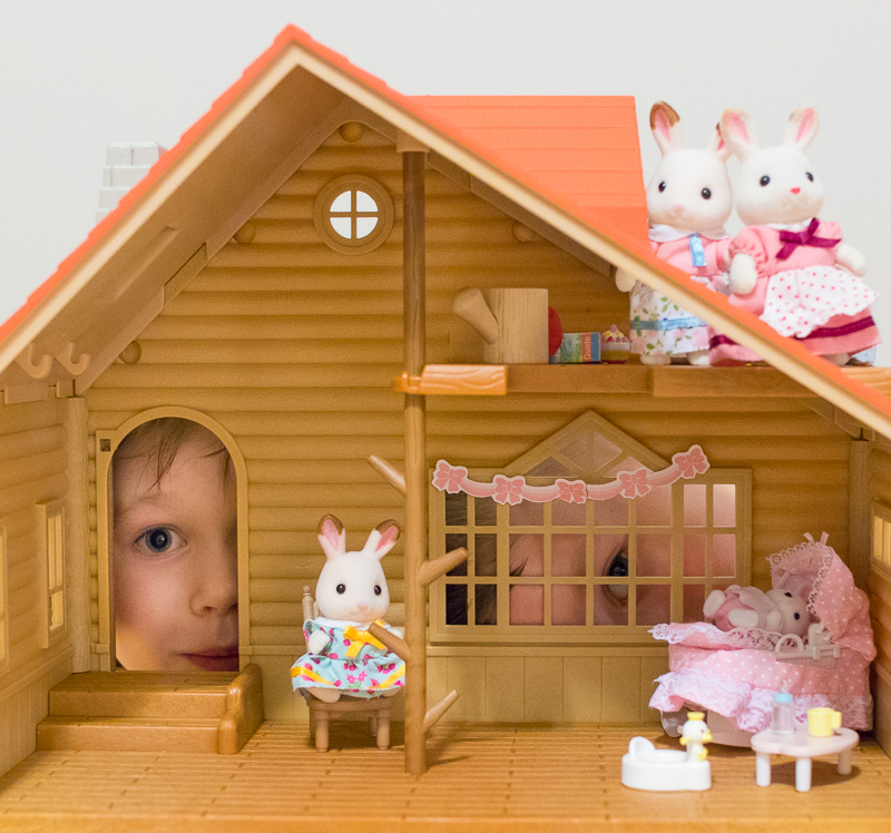 Calico Critters