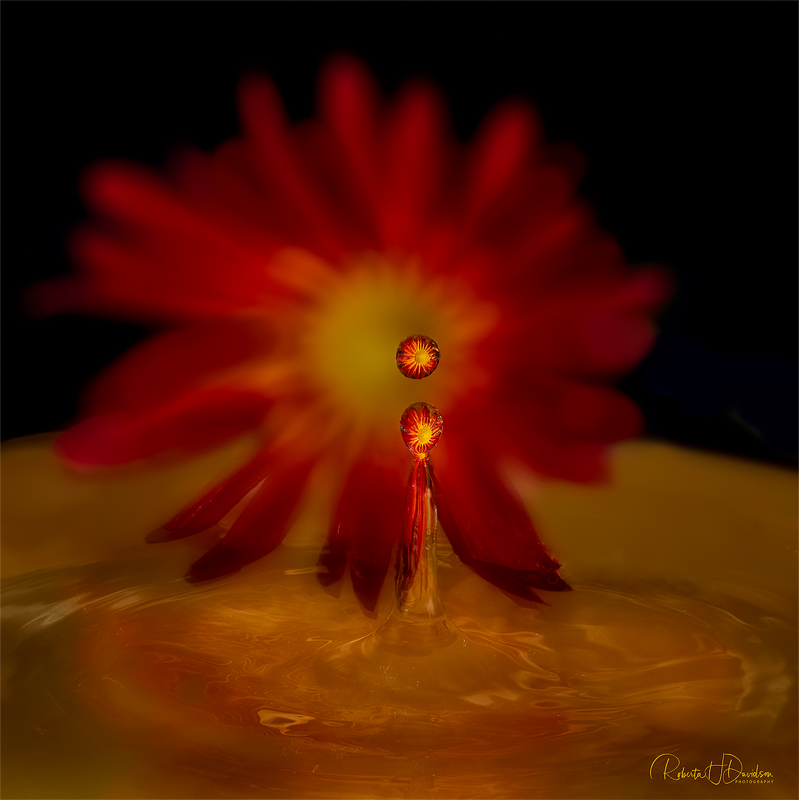 Circle