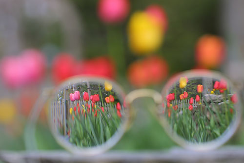 Eye Ware Glasses!