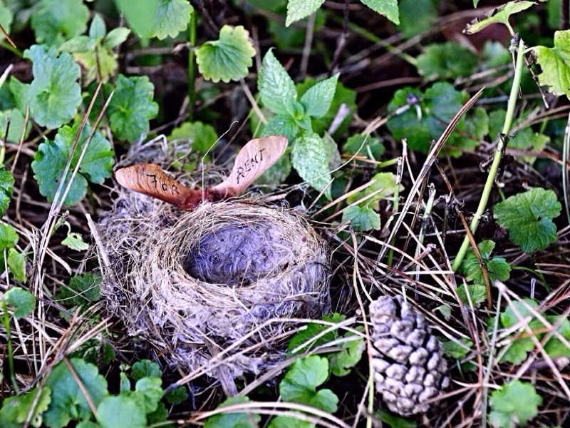 A true love nest now empty.