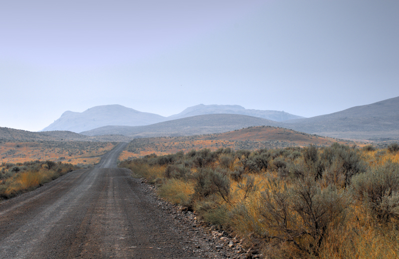 Road Through Sagebrush