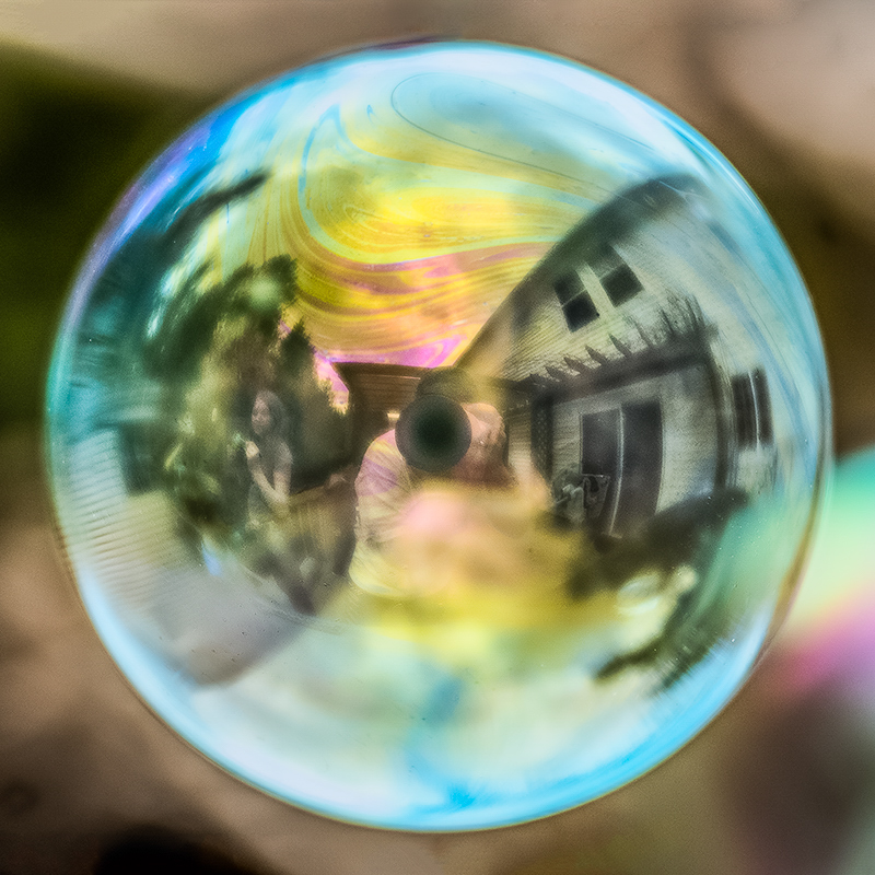Life in a Bubble