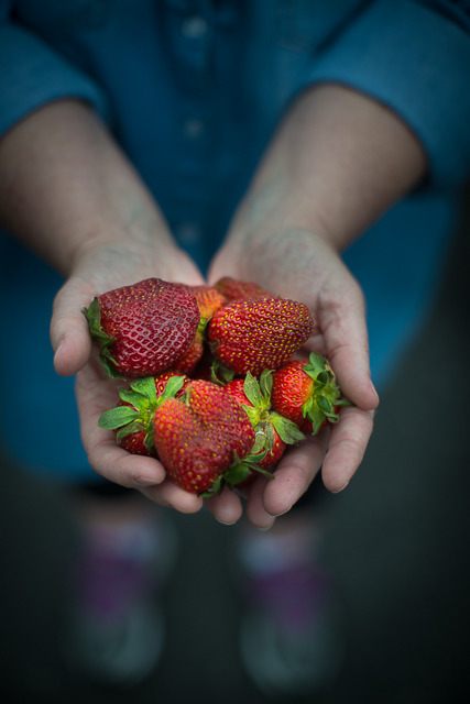 A Handful of Strawberries