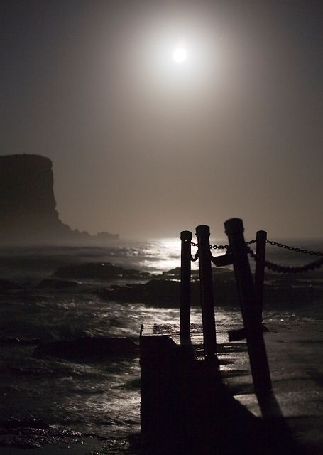 Misty moon over Avalon Beach