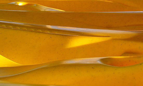 It's certainly yellow