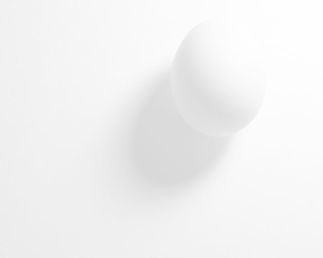 The Egg